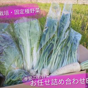 季節のお野菜おまかせ詰め合わせBOX