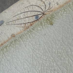 草模様の角皿（灰釉草文銘々四方皿）