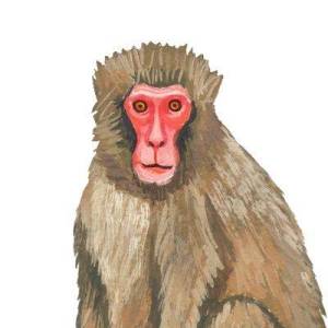 モンキー🐒占い(九星氣学) 2026年 運氣上昇 吉方位ガイド