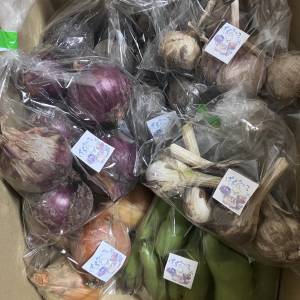 季節の野菜セット