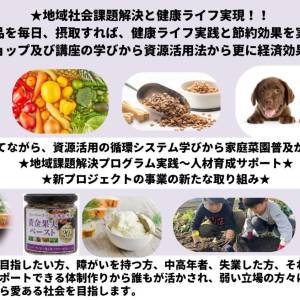 ワークショップ