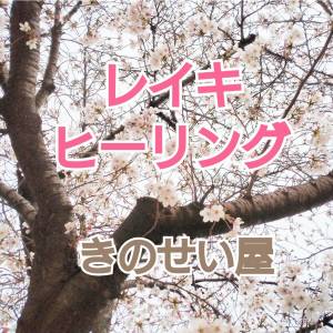 きのせい屋 の画像