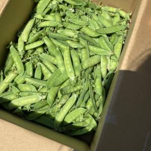 季節の野菜セット
