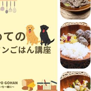 はじめての手作りわんこご飯　　　　　　Zoom講座