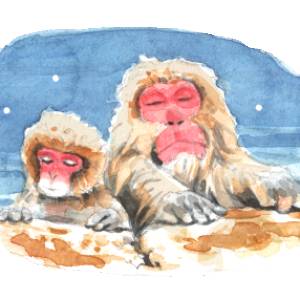 モンキー🐒占い(九星氣学) 開運相談