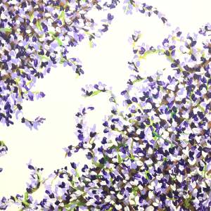 遊びながら、戯れる「藤の花」
