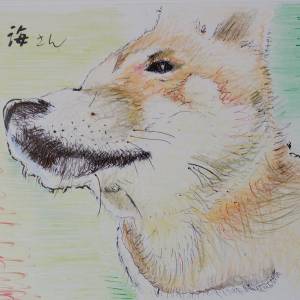 ペットの色鉛筆画
