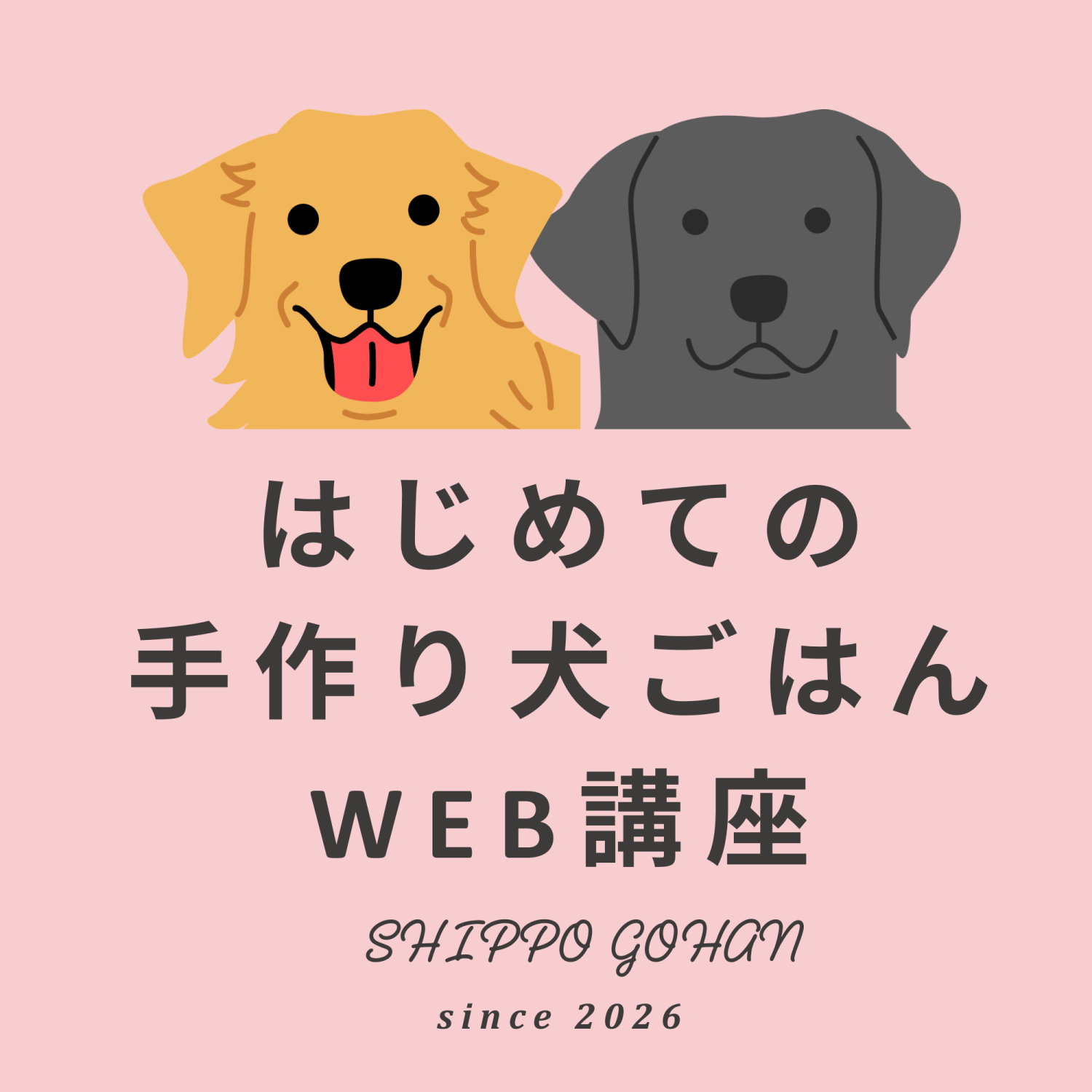 しっぽごはん～おいしいを一緒に～