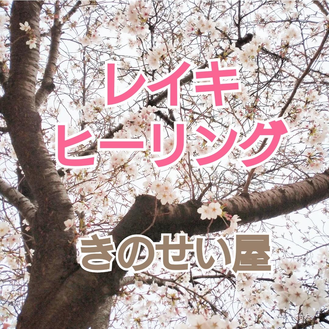 きのせい屋
